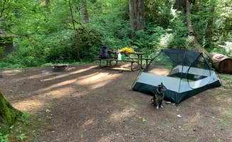 Sean P.'s photo at Cascadia State Park Campground near Lebanon, OR