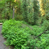 Review photo of Cascadia State Park Campground by Sean P., July 20, 2020