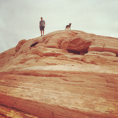 Review photo of Atlatl Rock Campground — Valley of Fire State Park by Kayko S., May 6, 2015