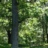Review photo of Rock Cut State Park - Staghorn Campground by Tricia E., July 4, 2016