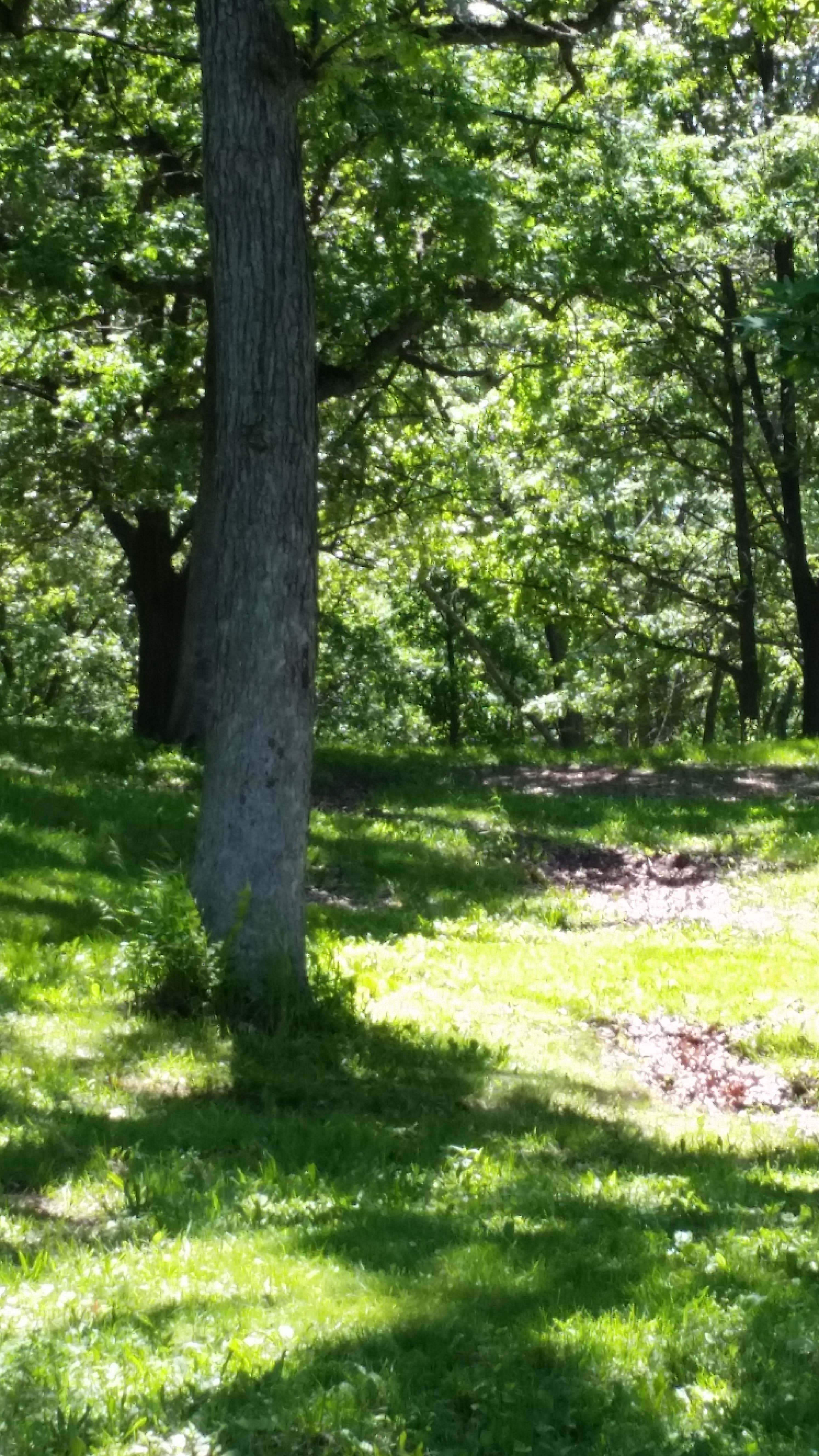 Camper submitted image from Rock Cut State Park - Staghorn Campground - 2