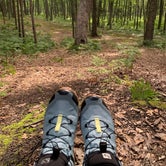 Review photo of Nordhouse Dunes Wilderness - Green Road by Kate K., July 20, 2020