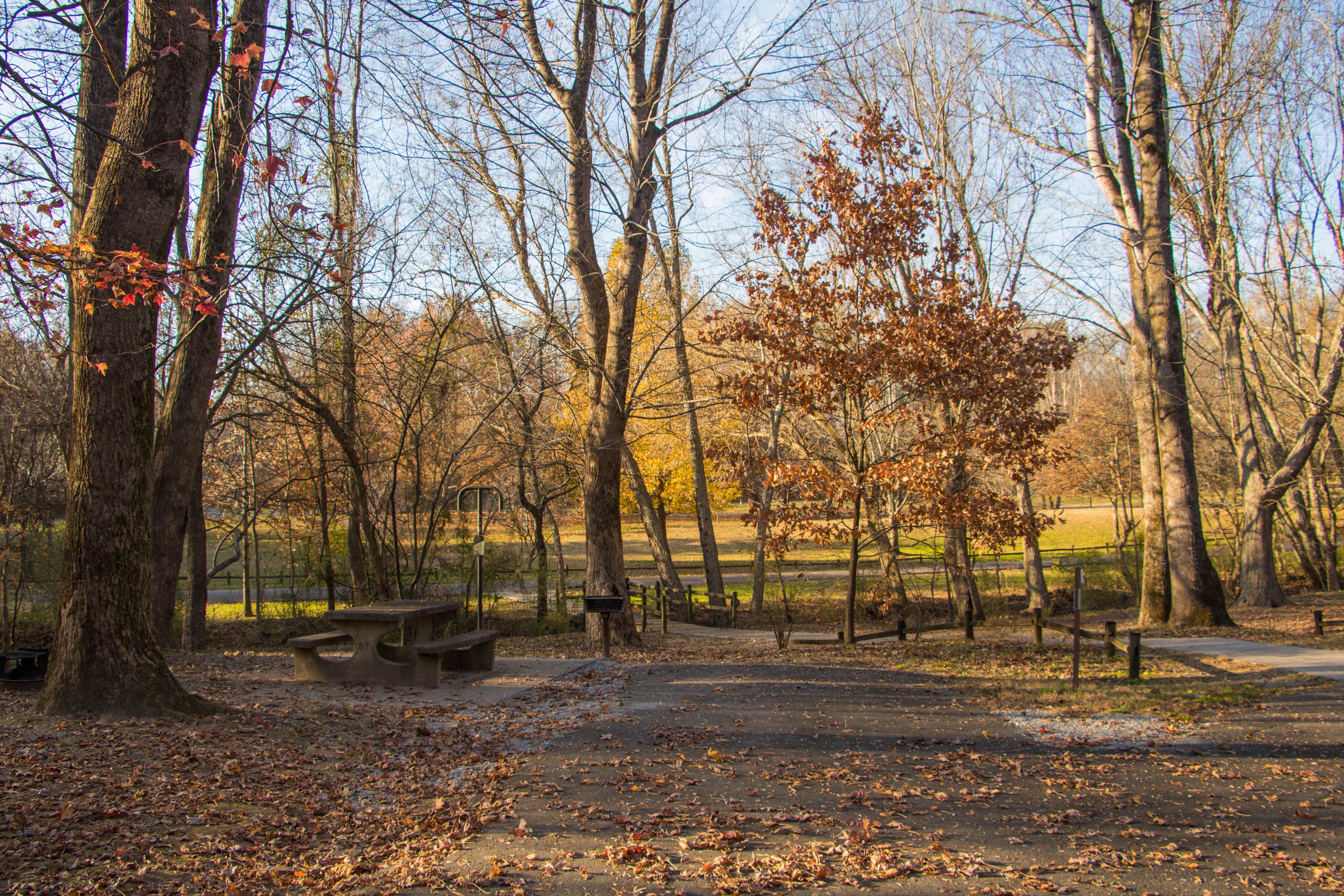 Camper submitted image from Gee Creek Campground — Hiwassee/Ocoee Scenic River State Park - 4