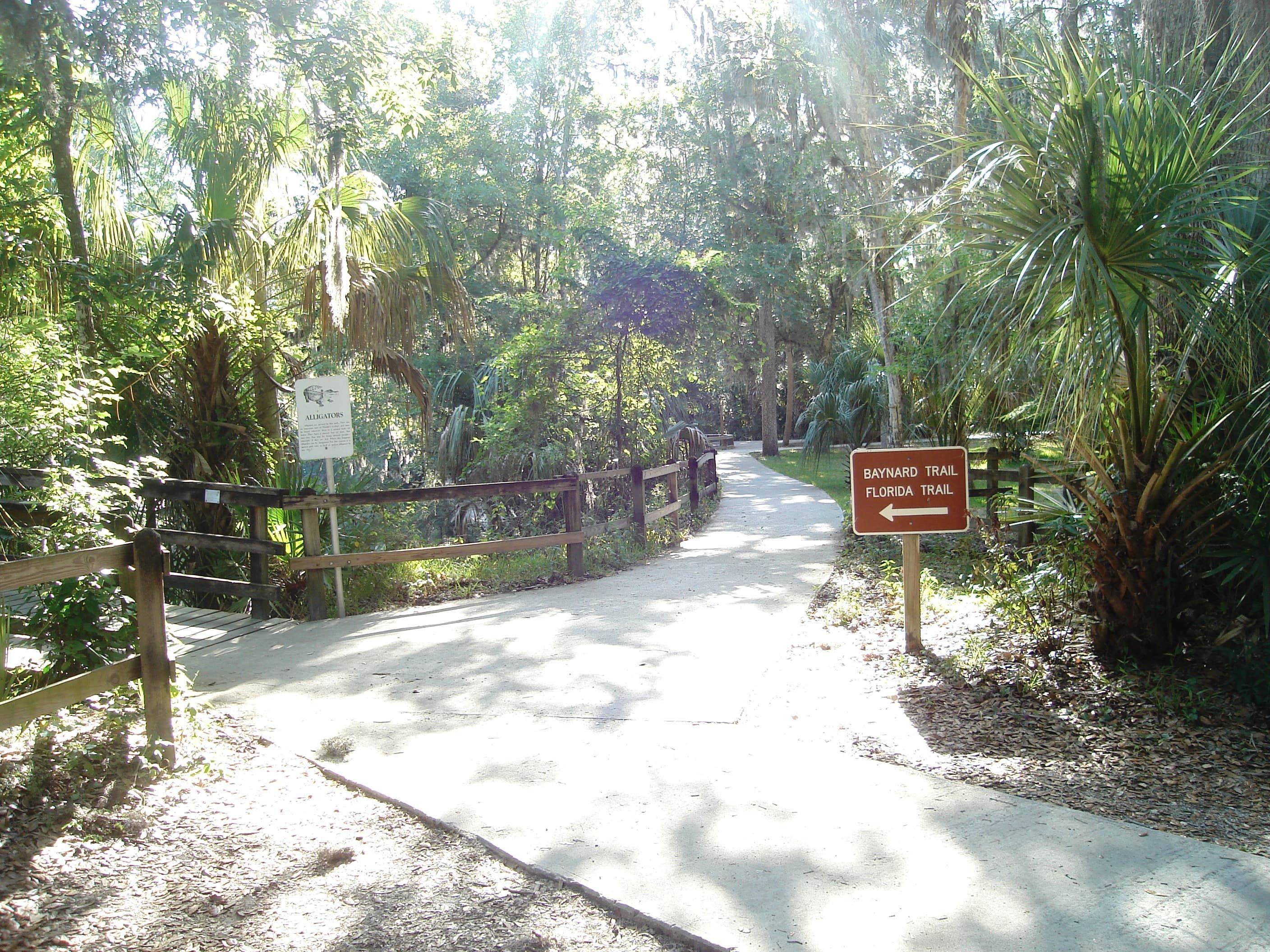 Camper submitted image from Hillsborough River State Park Campground - 2