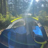 Review photo of Ocala National Forest Lake Dorr Campground by Jessica L., July 20, 2020