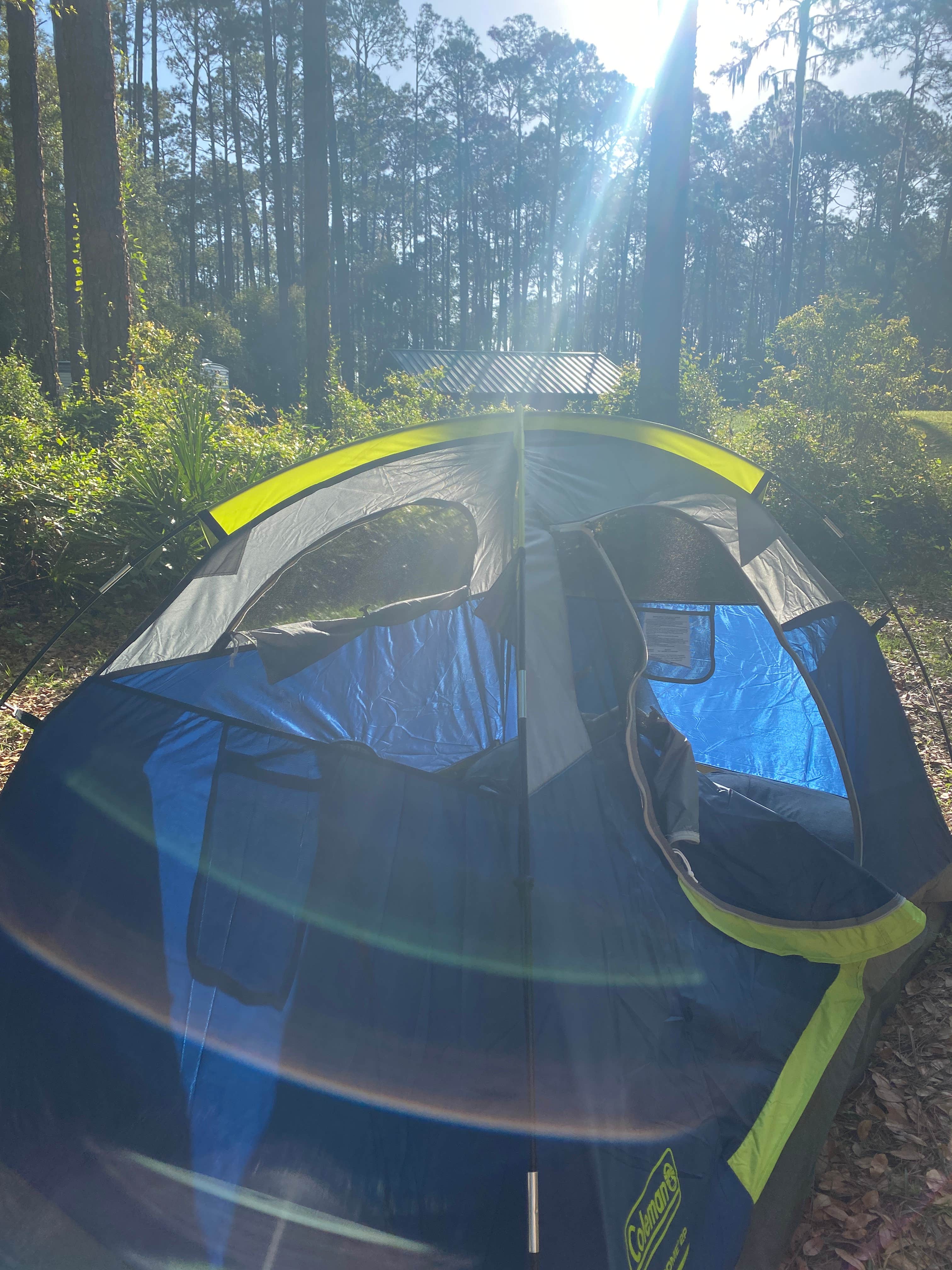 Camper submitted image from Ocala National Forest Lake Dorr Campground - 4