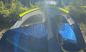 Jessica L.'s photo at Ocala National Forest Lake Dorr Campground near Eustis, FL