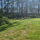 Review photo of Ocala National Forest Lake Dorr Campground by Jessica L., July 20, 2020