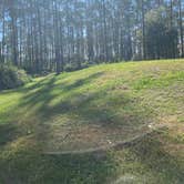 Review photo of Ocala National Forest Lake Dorr Campground by Jessica L., July 20, 2020