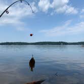 Review photo of Lake Norman State Park by Sean P., July 20, 2020