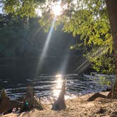 Review photo of Suwannee River State Park Campground by Jenn B., July 20, 2020