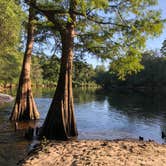 Review photo of Suwannee River State Park Campground by Jenn B., July 20, 2020