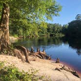 Review photo of Suwannee River State Park Campground by Jenn B., July 20, 2020