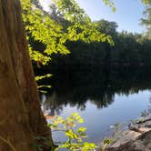 Review photo of Suwannee River State Park Campground by Jenn B., July 20, 2020