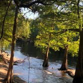 Review photo of Suwannee River State Park Campground by Jenn B., July 20, 2020