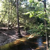 Review photo of Suwannee River State Park Campground by Jenn B., July 20, 2020