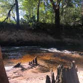 Review photo of Suwannee River State Park Campground by Jenn B., July 20, 2020