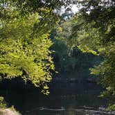 Review photo of Suwannee River State Park Campground by Jenn B., July 20, 2020