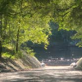 Review photo of Suwannee River State Park Campground by Jenn B., July 20, 2020