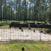 Review photo of Suwannee River State Park Campground by Jenn B., July 20, 2020