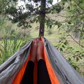 Review photo of Boundary Bay Campground by Ted-Kelli T., July 20, 2020