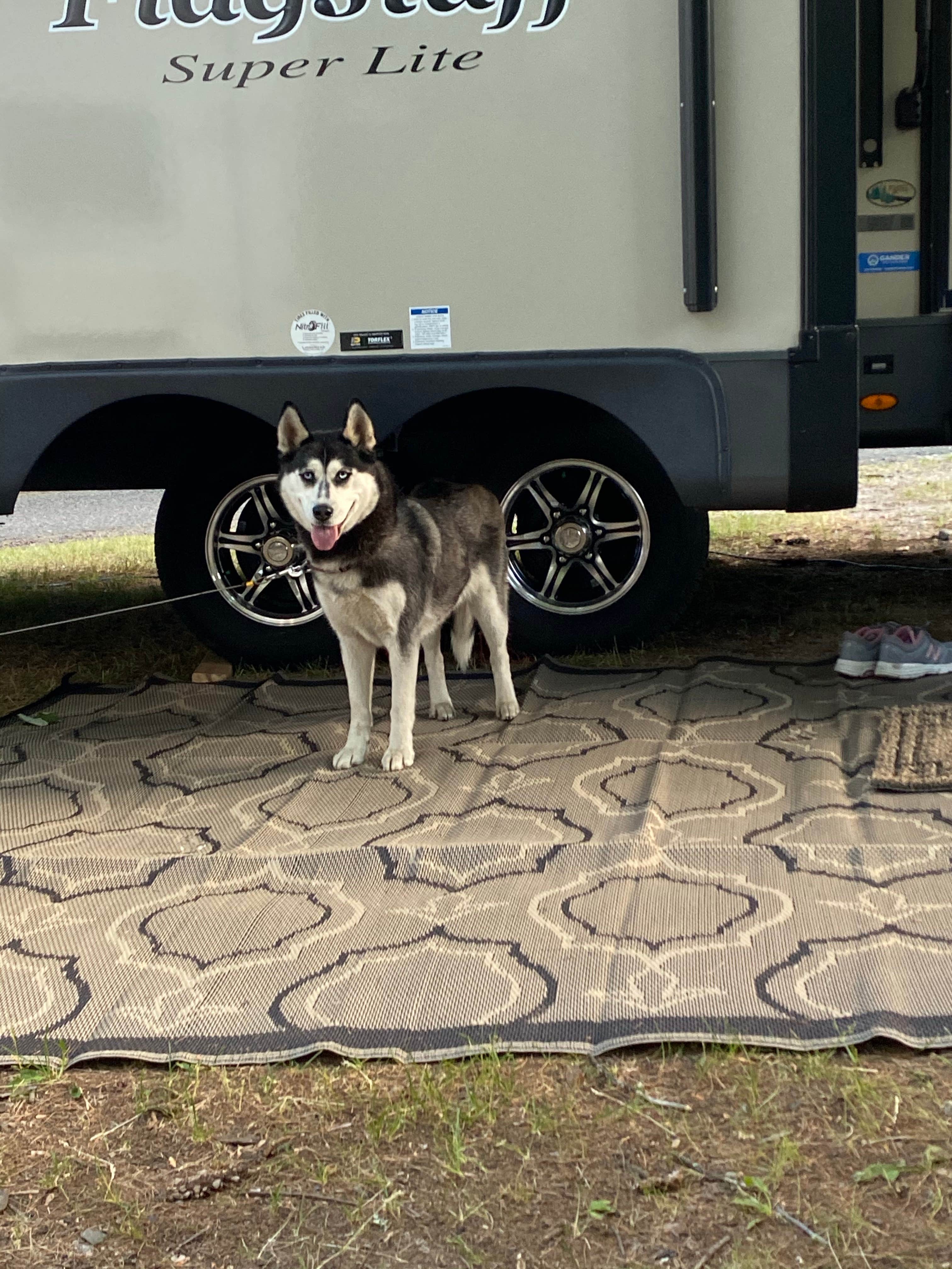 Becky F.'s photo of camping with pets at Vermilion Trail Campground near Biwabik, MN