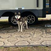 Review photo of Vermilion Trail Campground by Becky F., July 20, 2020