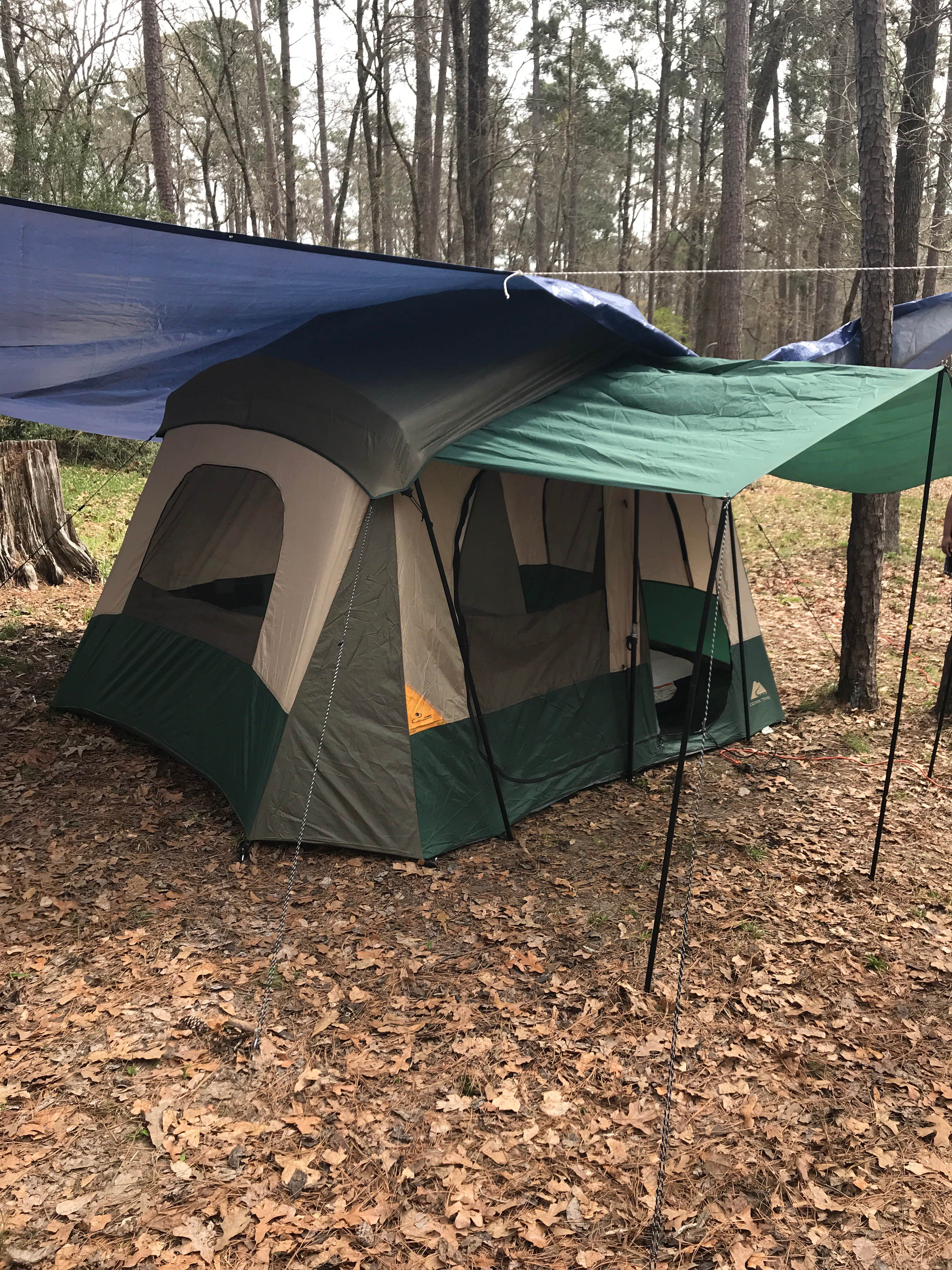 Jillian T.'s photo of tent camping at Huntsville State Park Campground near Cleveland, TX