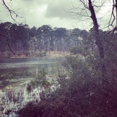 Review photo of Huntsville State Park Campground by Jillian T., March 12, 2018