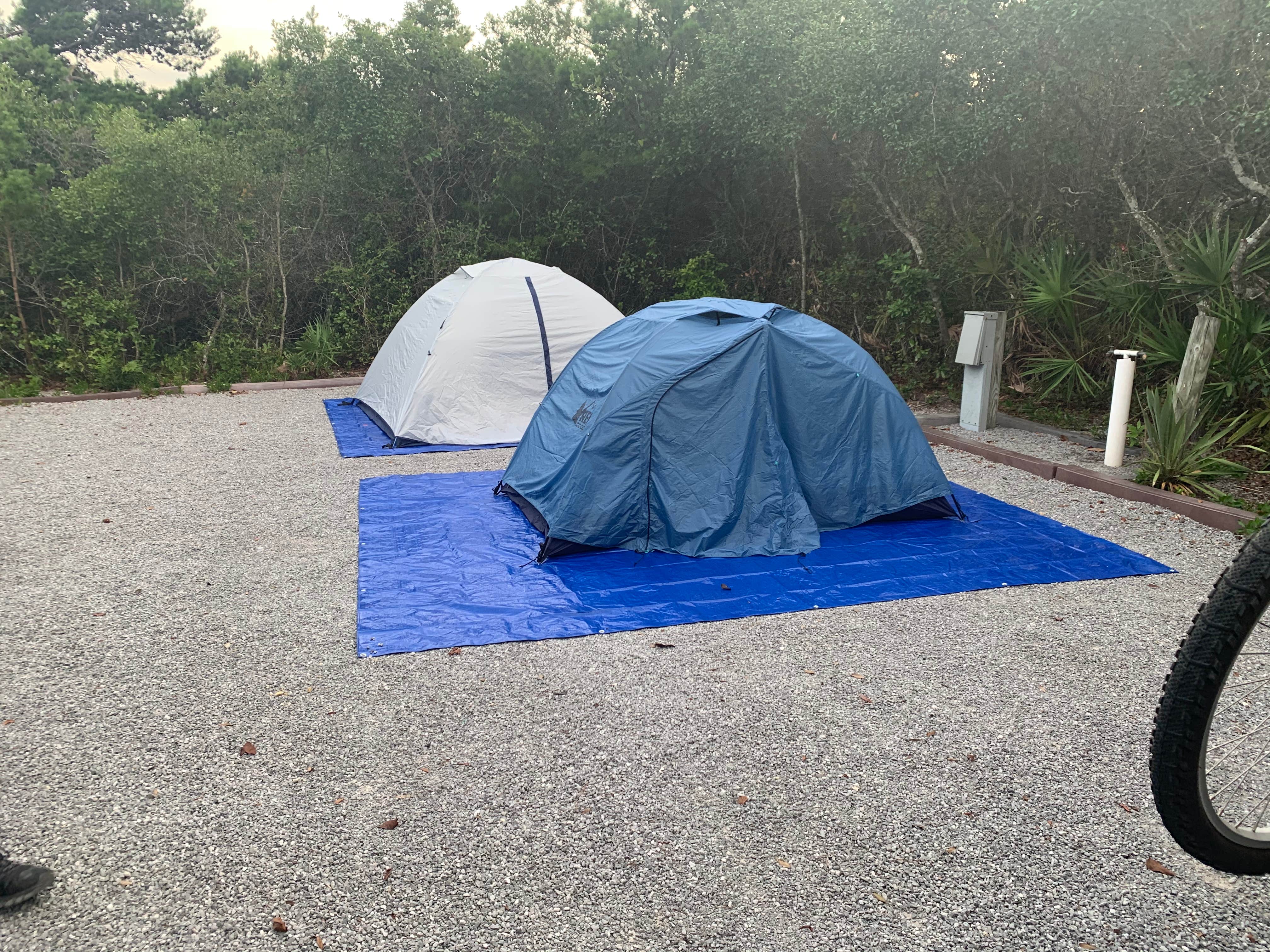 Elizabeth G.'s photo at Henderson Beach State Park Campground near Eglin Air Force Base, FL