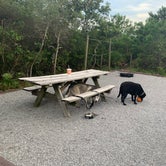 Review photo of Henderson Beach State Park Campground by Elizabeth G., July 20, 2020