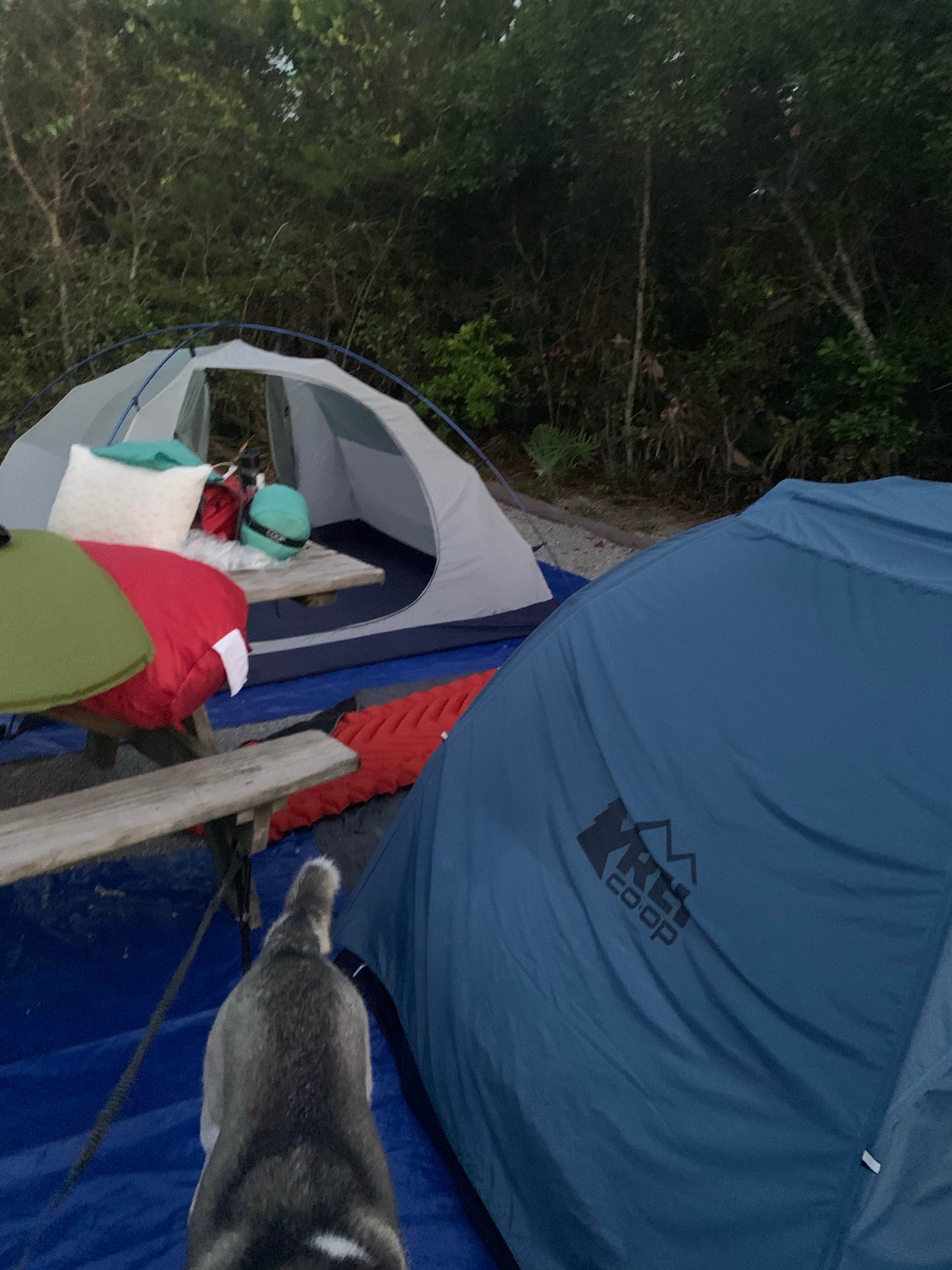 Elizabeth G.'s photo at Henderson Beach State Park Campground near Miramar Beach, FL