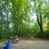 Review photo of Susquehanna State Park Campground by Nancy N., July 20, 2020