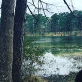 Review photo of Huntsville State Park Campground by Jillian T., March 12, 2018