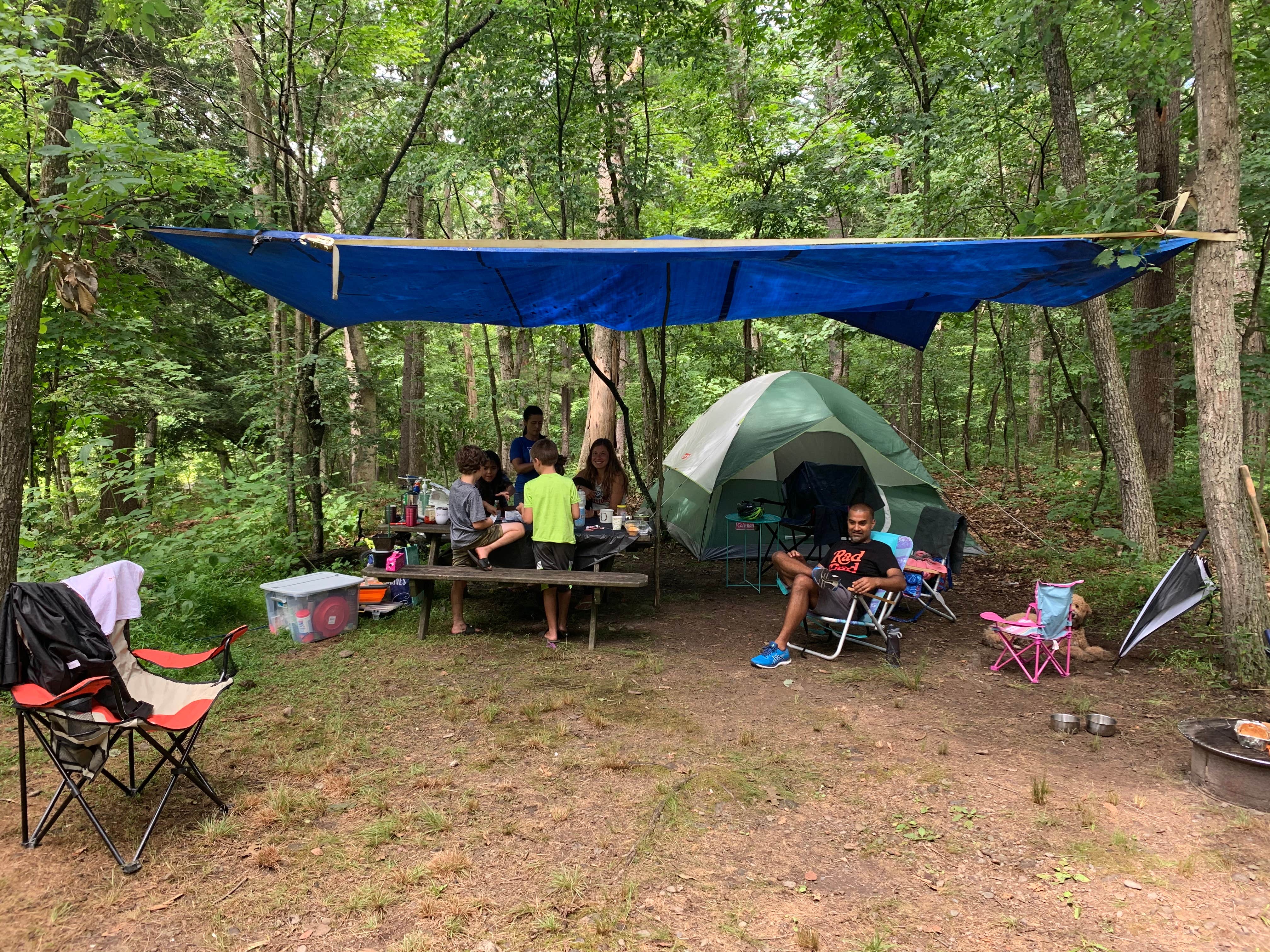 Camper submitted image from Dingmans Campground — Delaware Water Gap National Recreation Area - 3