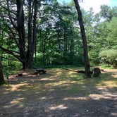 Review photo of Dingmans Campground — Delaware Water Gap National Recreation Area by Rob M., July 20, 2020