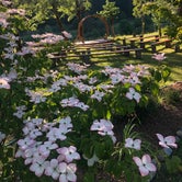 Review photo of Cedar Bloom by Nenah B., July 20, 2020