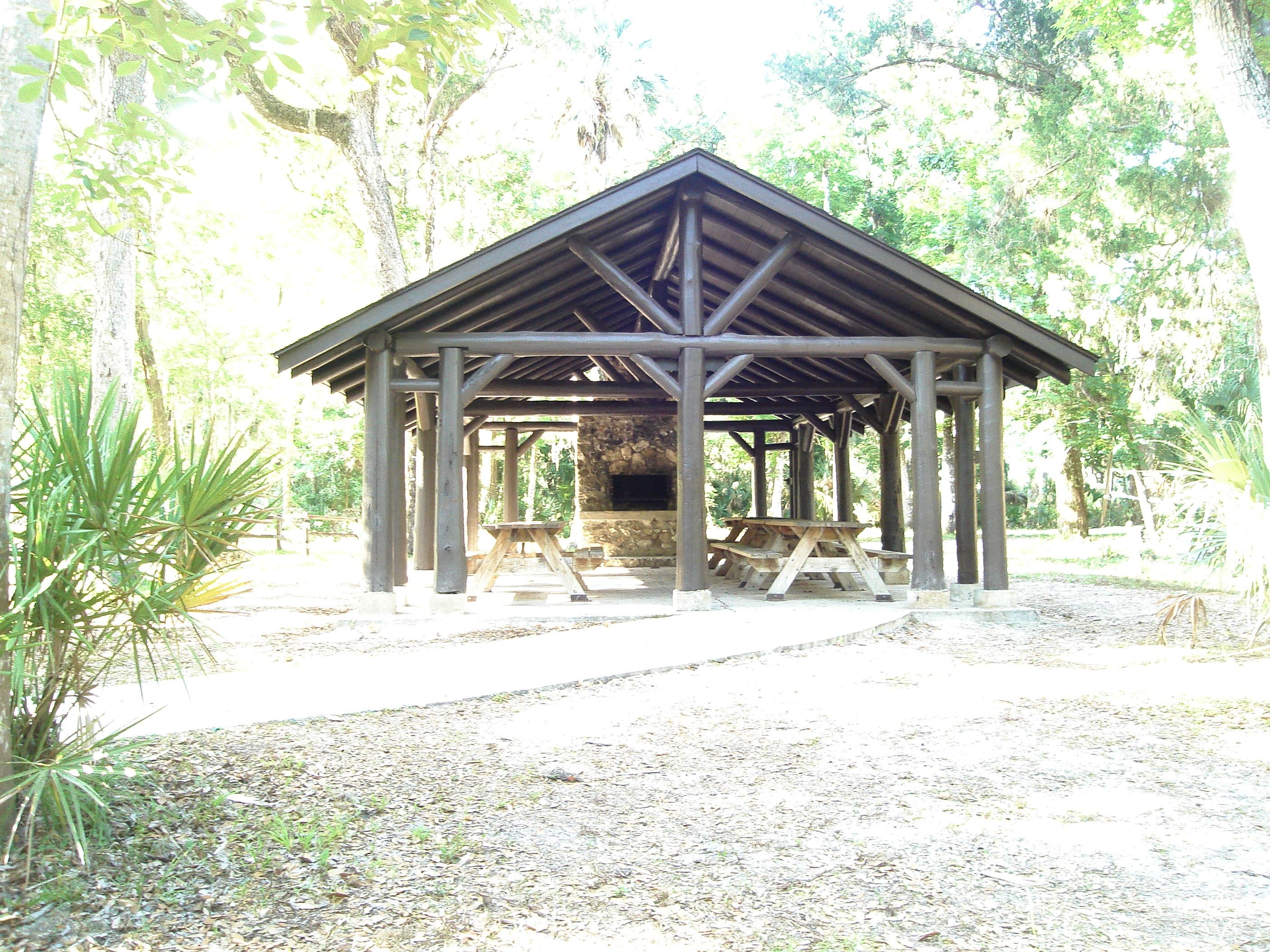 Camper submitted image from Hillsborough River State Park Campground - 3