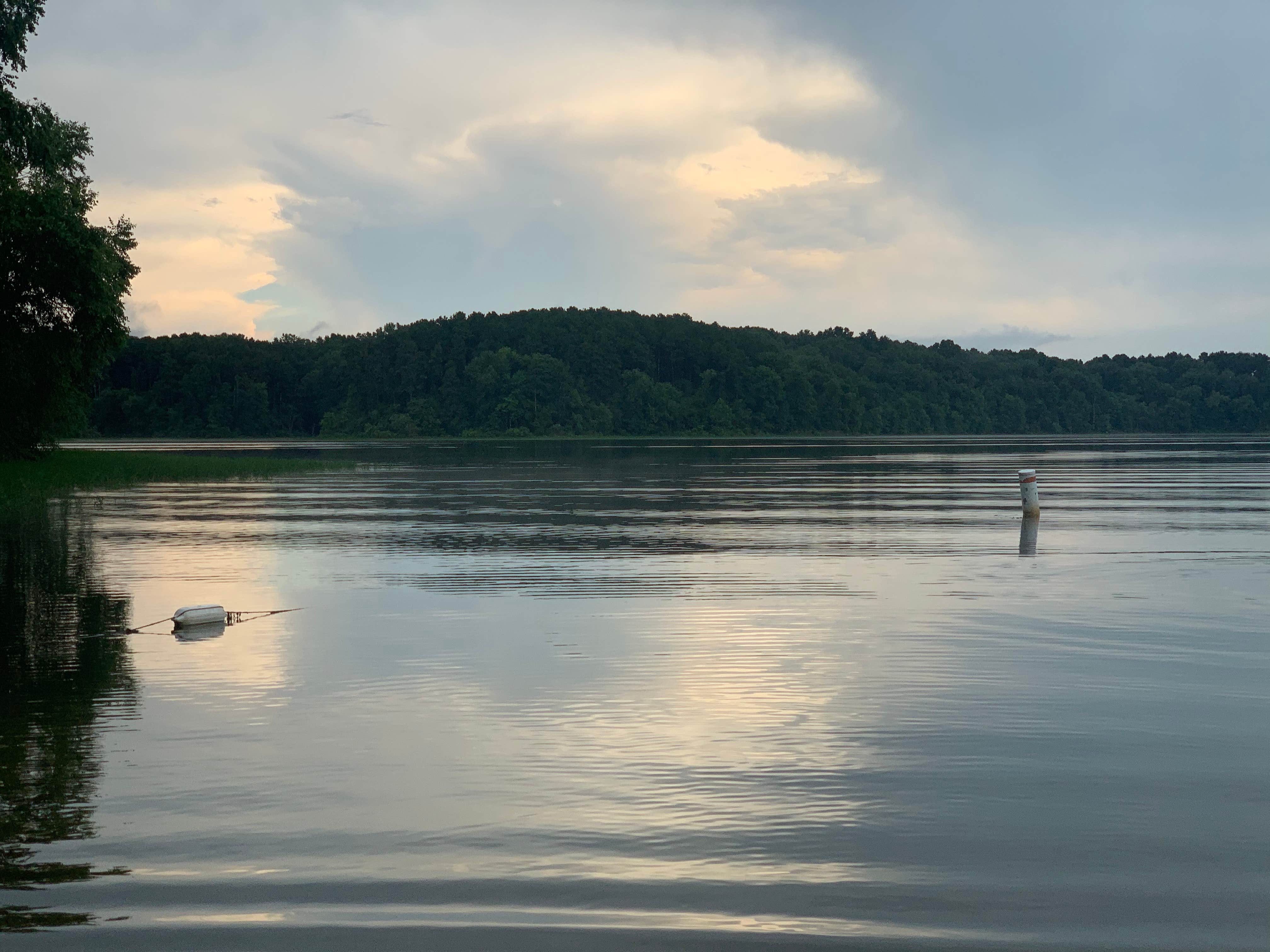 Little Grassy Lake Campground Camping Carbondale IL The Dyrt