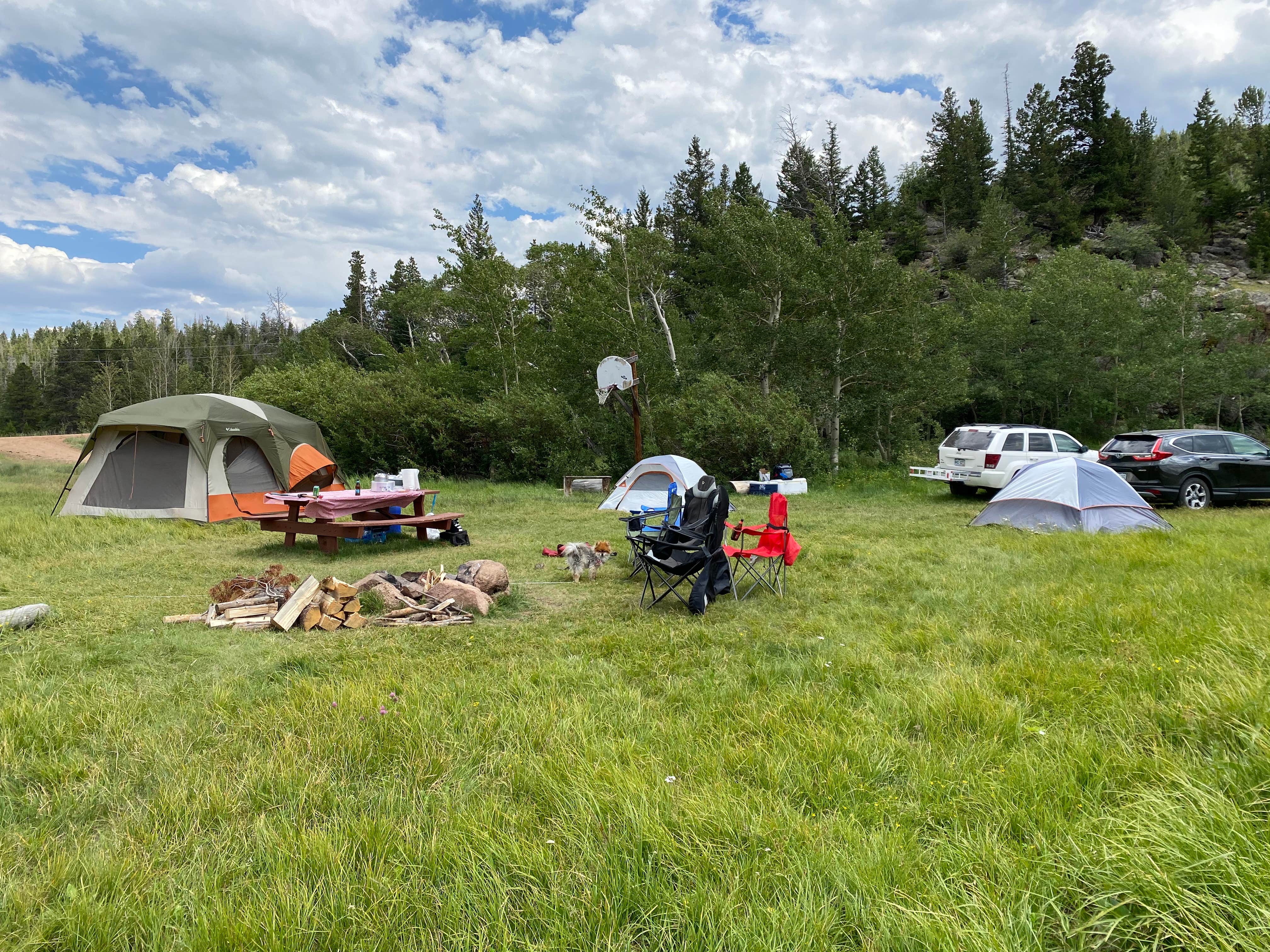 Stacy T.'s photo at Beaver Meadows Resort Ranch & Campground near Jelm, WY
