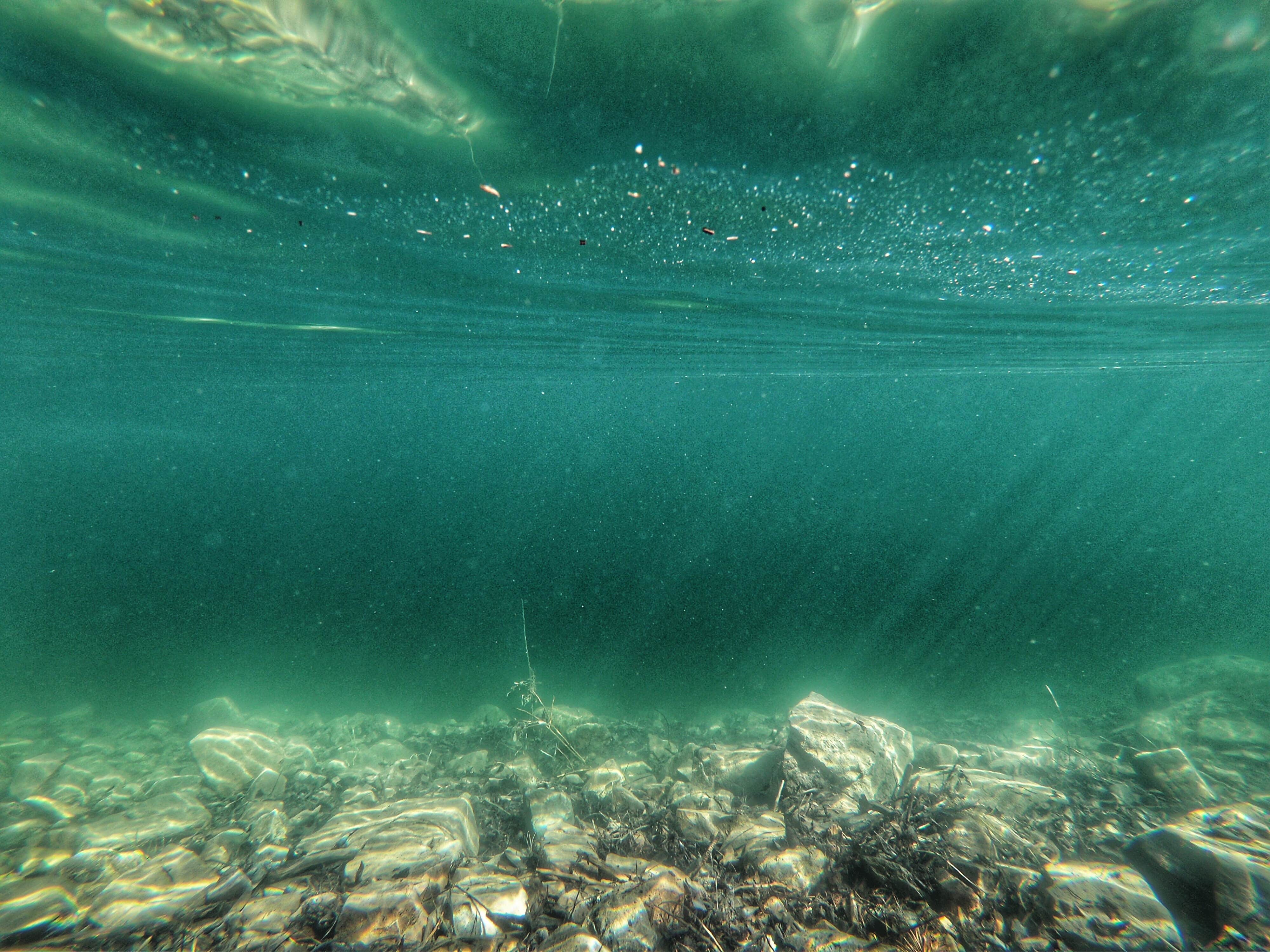 Camper-submitted photo at East Fork Group Area near Conner, MT
