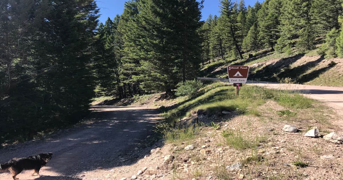 East Fork Group Area