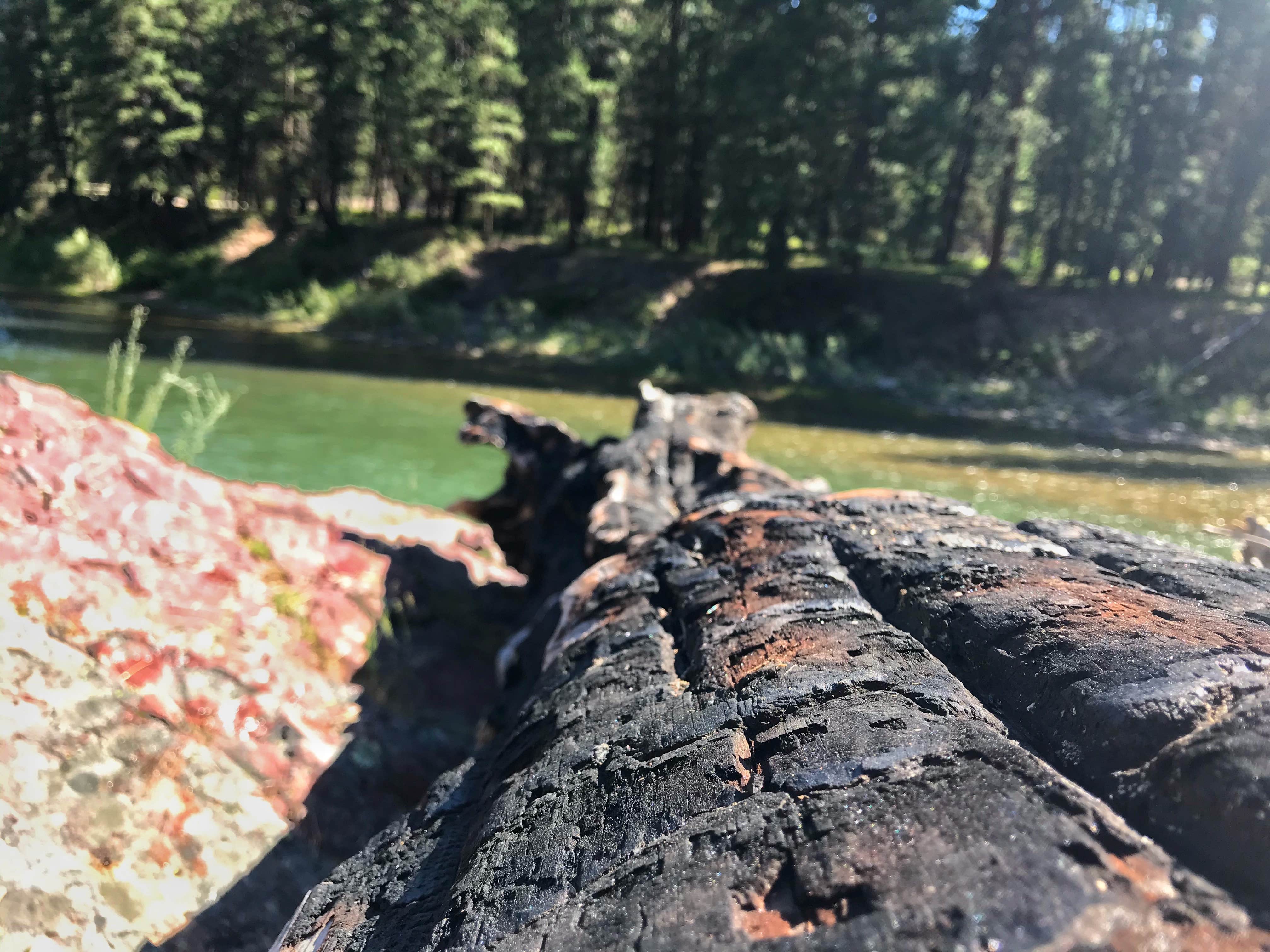 Camping near Corricks River Bend: Thibodeau, Bonner, Montana