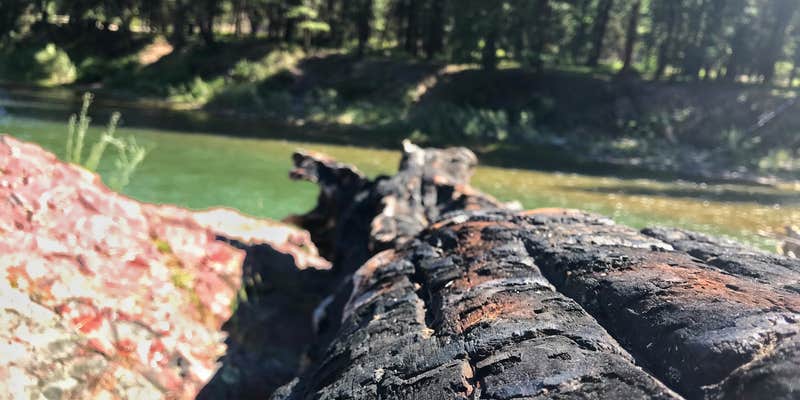 Camper submitted image from Thibodeau