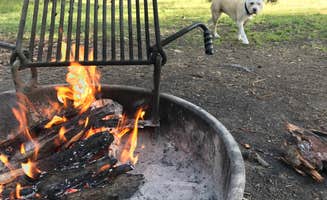 Nick T.'s photo of camping with pets at Thibodeau near Seeley Lake, MT