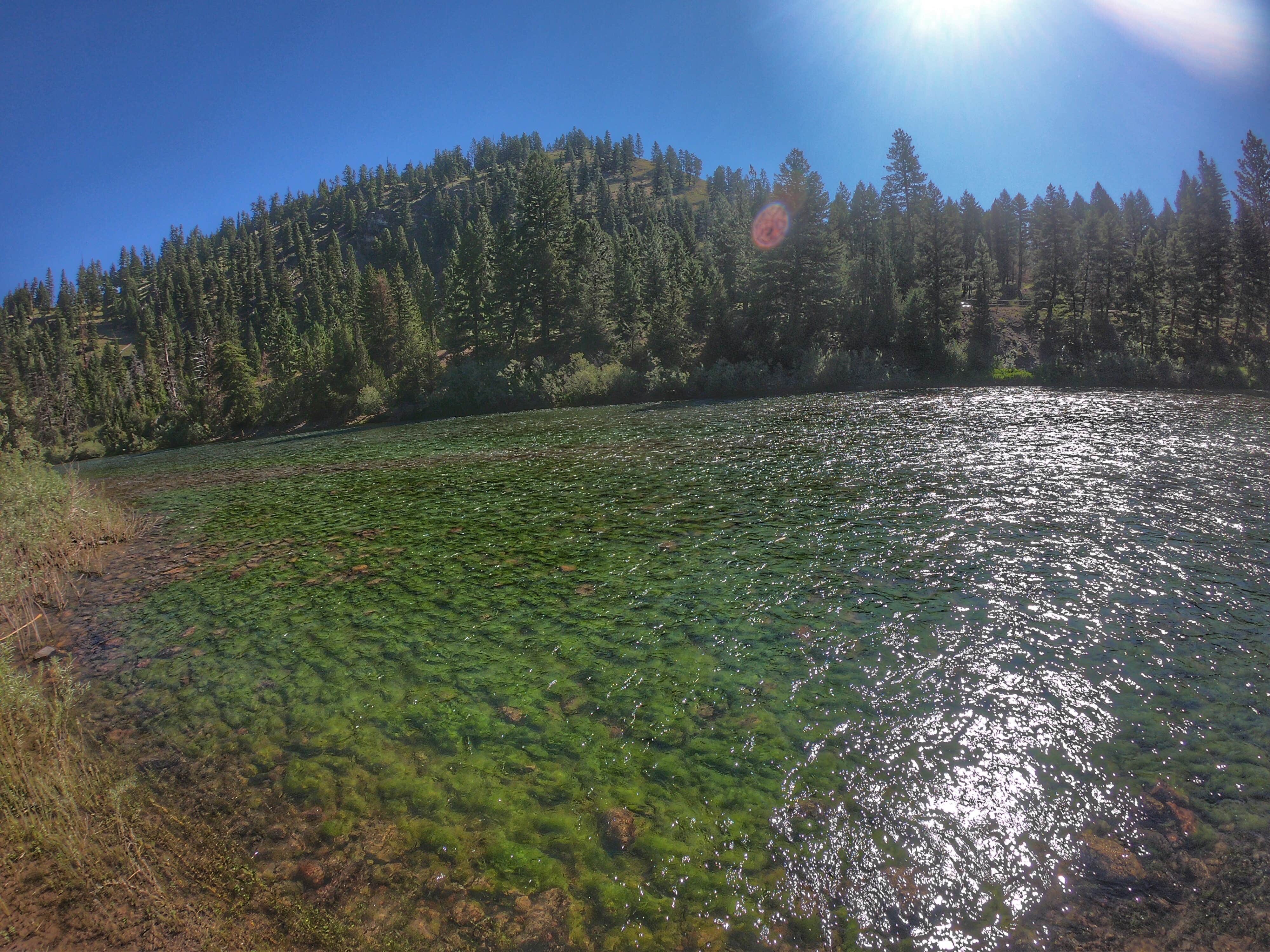 Camper-submitted photo at Thibodeau near Bonner, MT