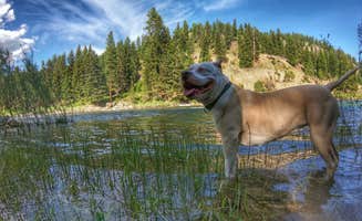 Nick T.'s photo of camping with pets at Thibodeau near Seeley Lake, MT