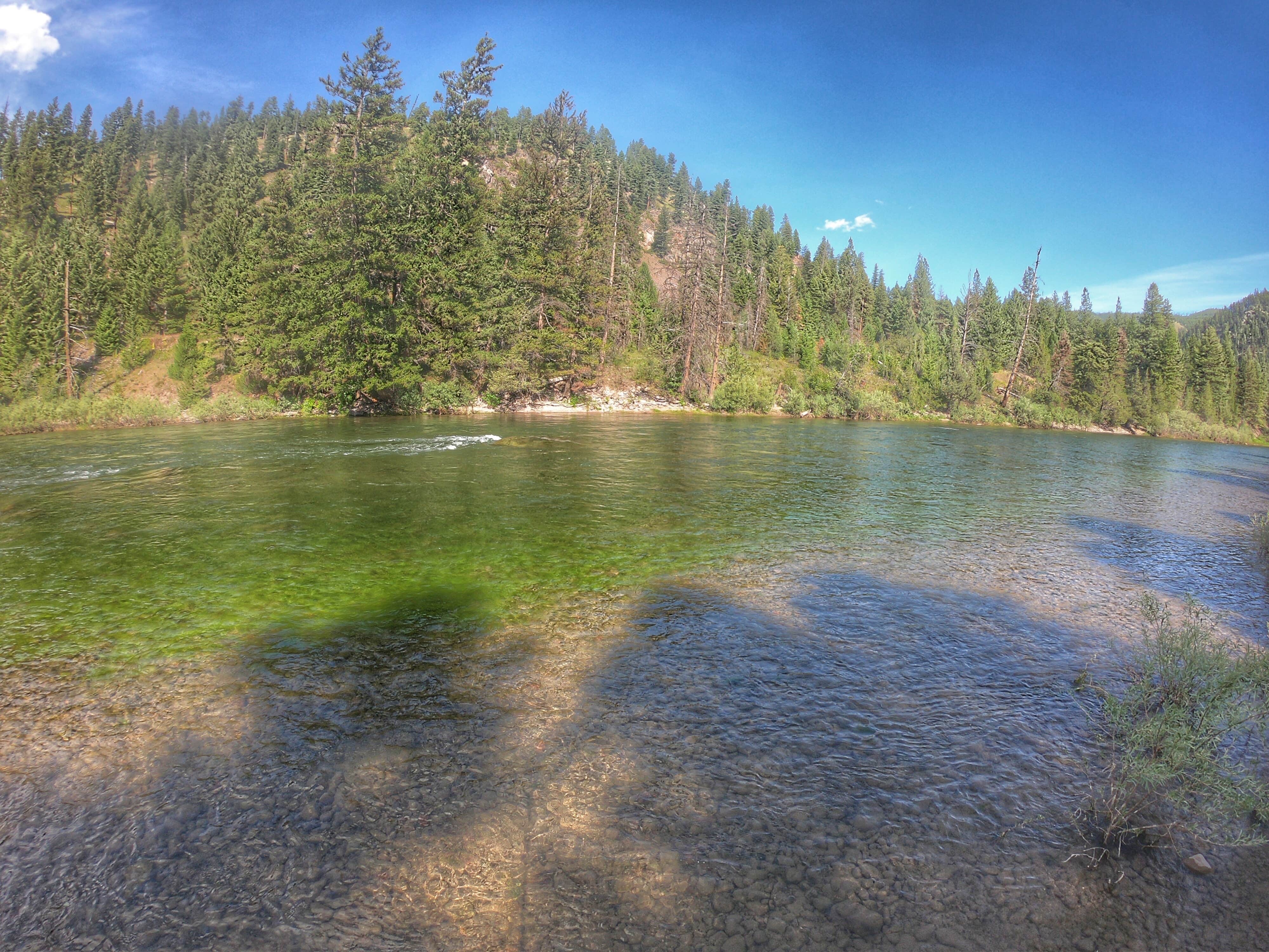 Camper-submitted photo at Thibodeau near Bonner, MT