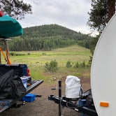 Review photo of San Juan National Forest Williams Creek Campground by Chris P., July 20, 2020