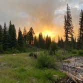 Review photo of San Juan National Forest Williams Creek Campground by Chris P., July 20, 2020